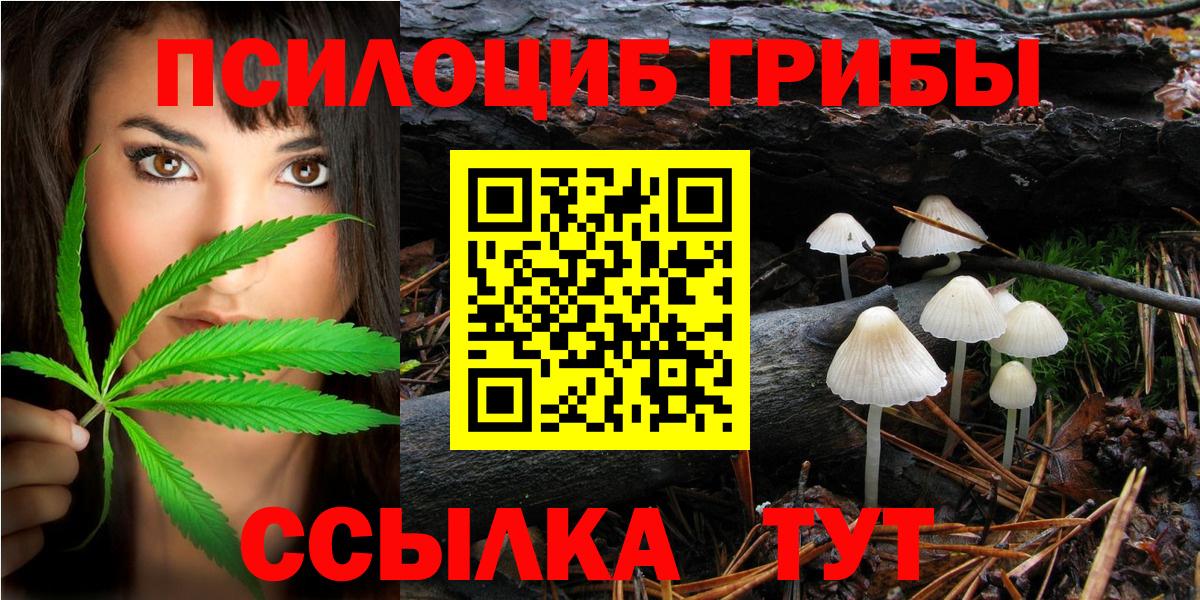 Псилоцибиновые грибы мухоморы Коломна