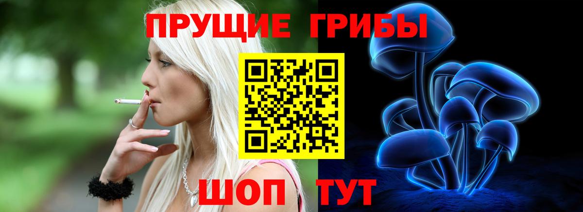Галлюциногенные грибы Psilocybe  Вход с VPN  Коломна 